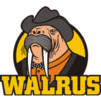 ��� �������� ZHEJIANG WALRUS NEW MATERIAL CO., LTD.