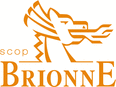 ��� �������� BRIONNE