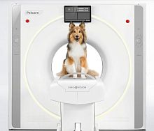 CT scan mobile radiology room Petcare
