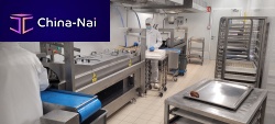 Continuous industrial fryer vegetablefor snacksmeat
