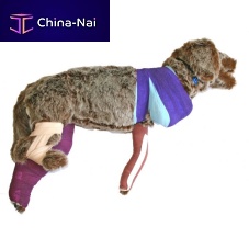 Veterinary training manikin RUFUS first aidbandagingdog