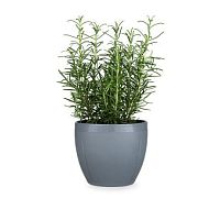 Porcelain stoneware flower pot GRAND CRUfree-standingroundhome