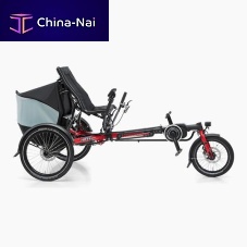 Crank-propelled recumbent trike LEPUSelectricadultfolding