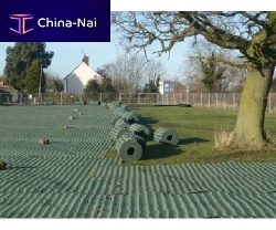 Grass grid TERRAM