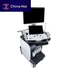 On-platform ultrasound system RS85 Prestigefor multipurpose ultrasound imagingB/Wcolor doppler