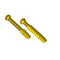 Femur osteotomy screw tibiafemoral condylecalcaneus
