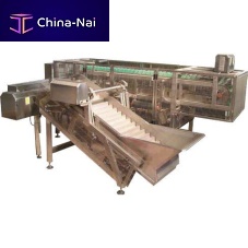 Foodstuff cutting machine ROBESPIERREautomatic