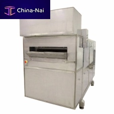 Continuous industrial fryer LUNAvegetablefor fishfruit