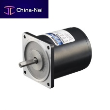Single-phase torque motor TDG seriesinduction220 V110 V