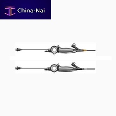 Video veterinary bronchoscope with speculum