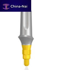 Titanium implant abutment 2170internalconicalstraight