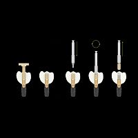 Sealing screw removal instrument EXAA8011