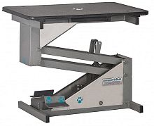Lifting grooming table electric
