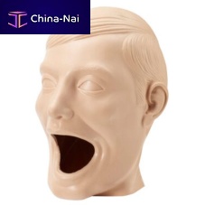 Dental care patient simulator XPH-2 Fletcher®head