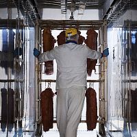Electric baking unit for meatautomatic