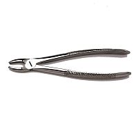 Canine teeth dental extraction forceps N�1for incisors