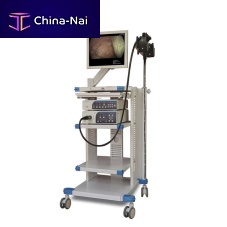 Gastroenterological endoscopy column ECL-100Twhite light imaging