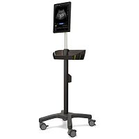 Portable, with trolley ultrasound system Piloterfor musculoskeletal ultrasound imagingB/Wtouchscreen