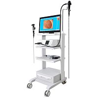 Video veterinary bronchoscope GUfor small animalsfor large animalsfor dogs