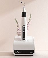 Cordless root canal obturator Fast-Pack