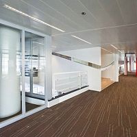 Metal suspended ceiling PERSPEKTA Dtilepanelfor office
