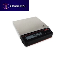 Platform scale 915xelectronickgwith separate indicator