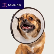 Transparent veterinary collar Saf-T-Clearfor dogsadjustableplastic
