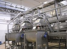 Fruit chunking-slicing machine for vegetables