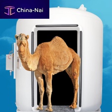 Large animal veterinary hyperbaric chamber ML series