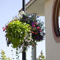 Hanging planter stand JIFLOR
