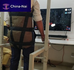 Balance rehabilitation system BalanceSmartposturecomputer-assistedwith serious games