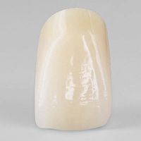 PMMA dental prosthesis PhysioSelect TCR resinanterior teethlower incisor