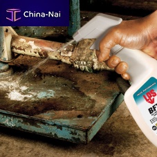 High-pressure cleaner BFX