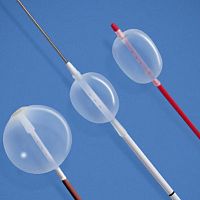 Occlusion catheter blood vesselureteralballoon