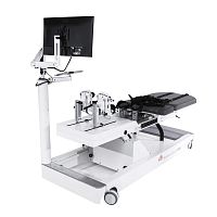 Leg mobility rehabilitation system S530robotic
