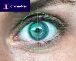 Iris recognition software biometricfor airport