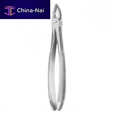 Canine teeth dental extraction forceps 1003upper centralEnglish pattern