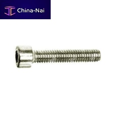 Socket head screw VTCEIslottedstainless steel