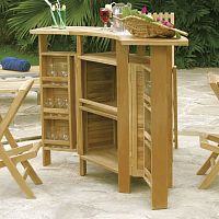 Swimming pool garden bar Evolution home