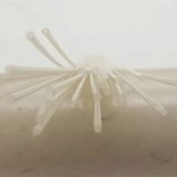Capillary tube