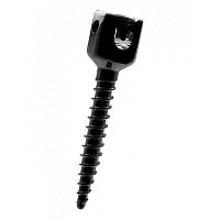 Polyaxial pedicle screw ROMEO®2 MSmetallic