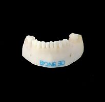 Training simulator BUCCO-Trainfor dental surgeryoral surgerydental care