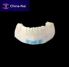 Training simulator BUCCO-Trainfor dental surgeryoral surgerydental care