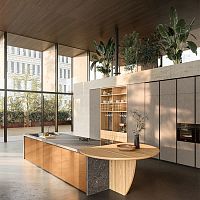 Contemporary kitchen XOsolid woodquartziteisland