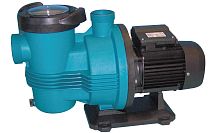 Swimming pool pump