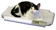 Electronic veterinary weighing scale SRV930for small animalsbenchtop