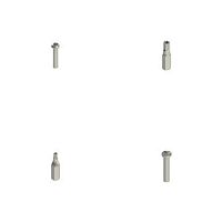 Safety screw