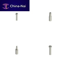 Safety screw