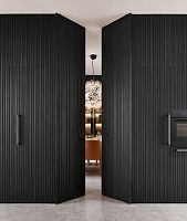 Full-height door FRAME SYSTEMinterioroaklaminate