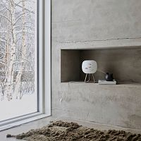 Table lamp TOADblown glassplywoodnatural oak